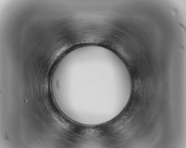 X0000096220632200801251057