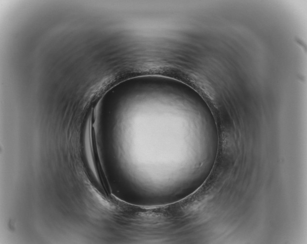 X0000096220633200801251057