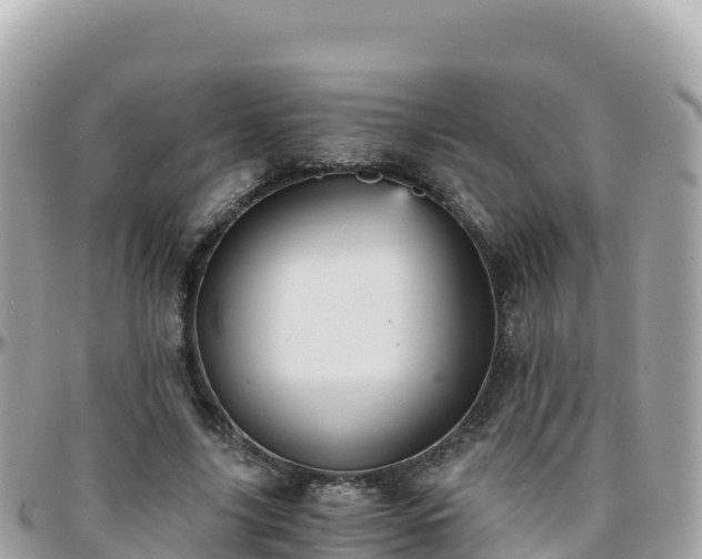 X0000096220635200801251057