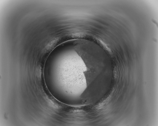 X0000096220637200801251057