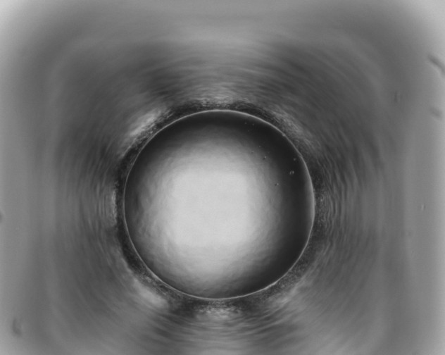 X0000096220638200801251057