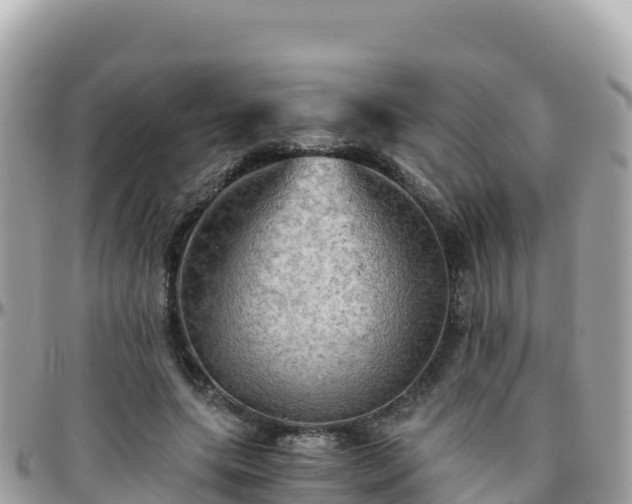 X0000096220639200801251057