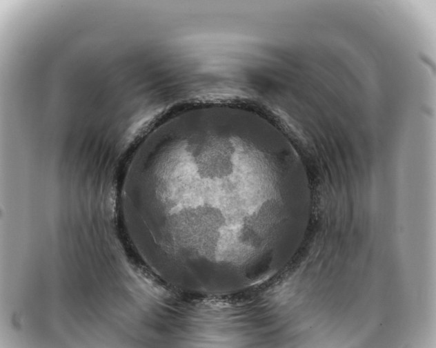 X0000096220640200801251057