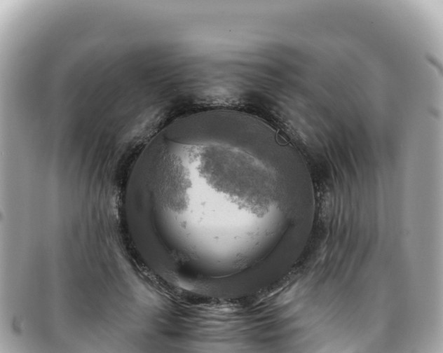 X0000096220643200801251057