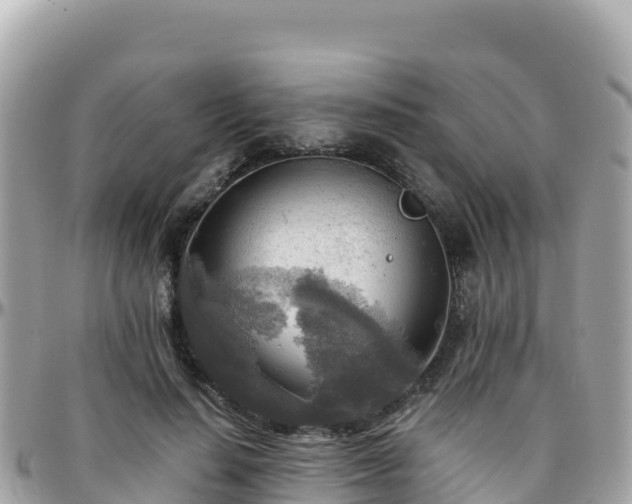 X0000096220644200801251057