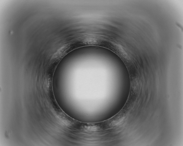 X0000096220645200801251057