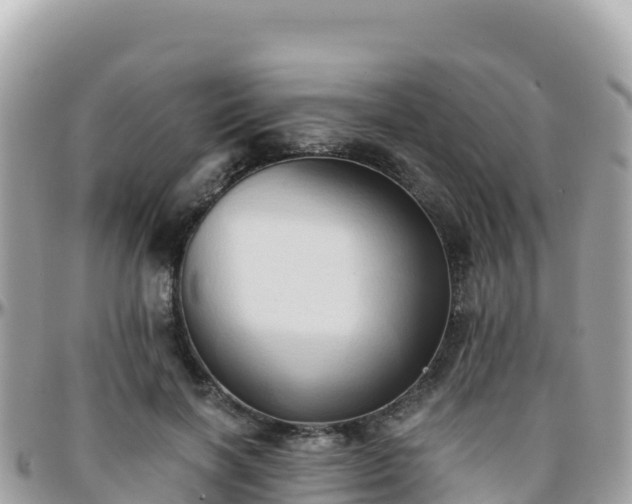 X0000096220646200801251057