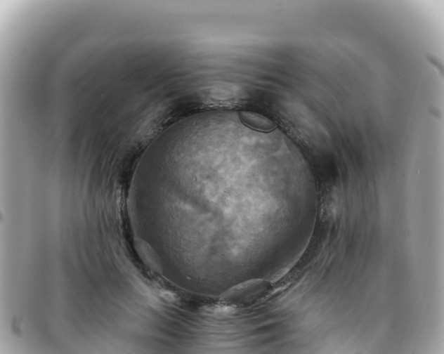 X0000096220647200801251057