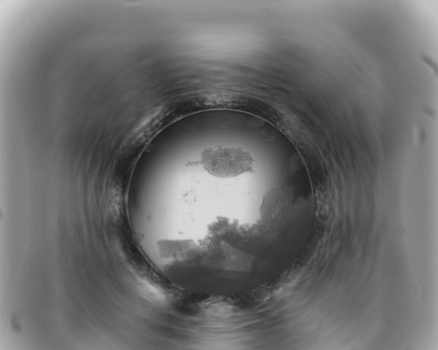 X0000096220648200801251057