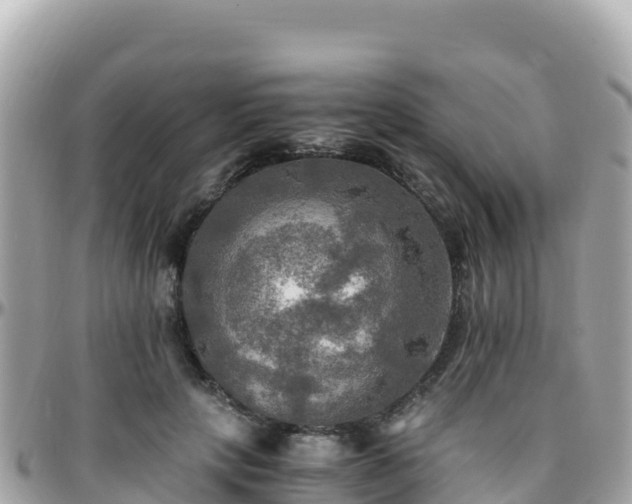 X0000096220649200801251057