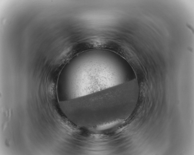 X0000096220650200801251057