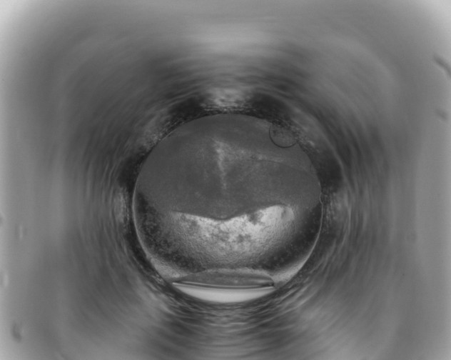 X0000096220651200801251057