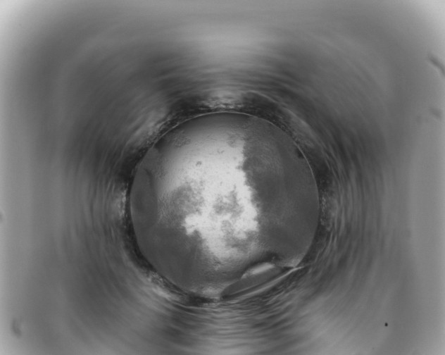 X0000096220652200801251057