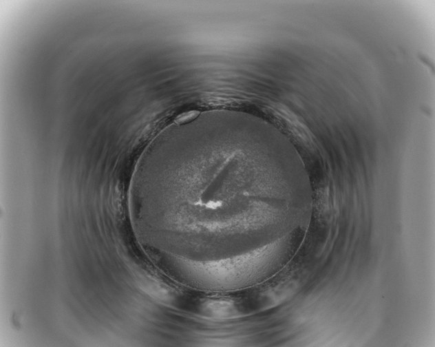 X0000096220653200801251057