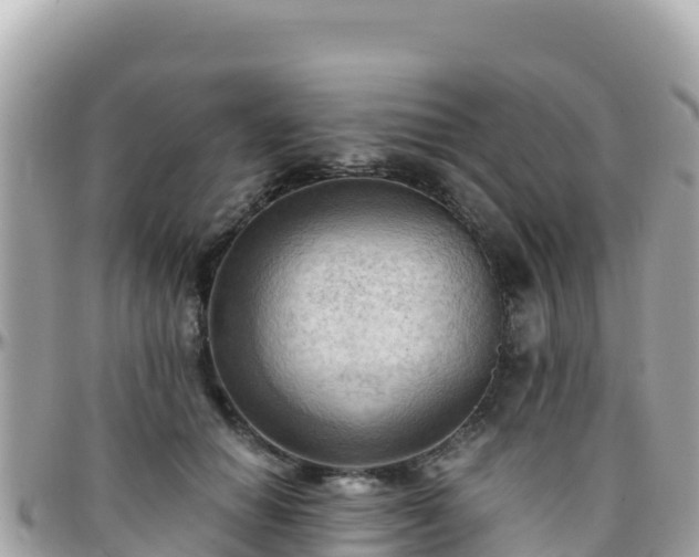 X0000096220654200801251057