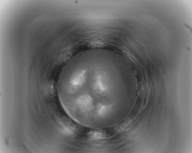 X0000096220655200801251057