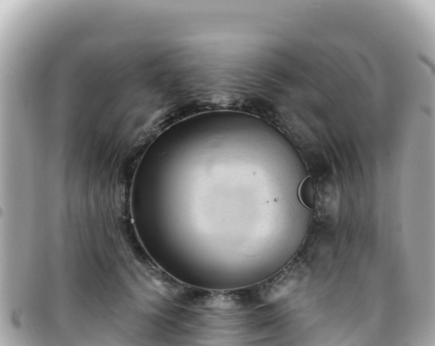 X0000096220656200801251057