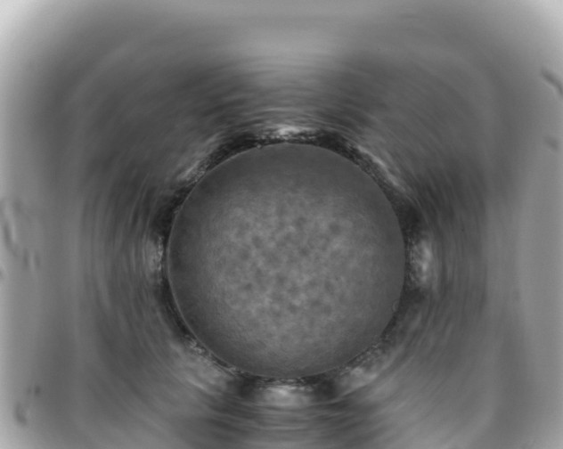 X0000096220657200801251057