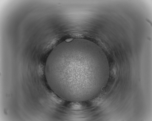 X0000096220658200801251057