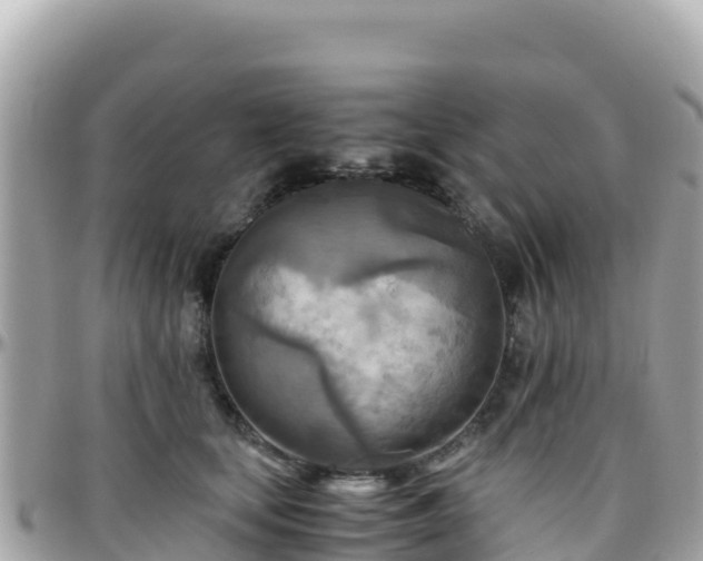 X0000096220659200801251057