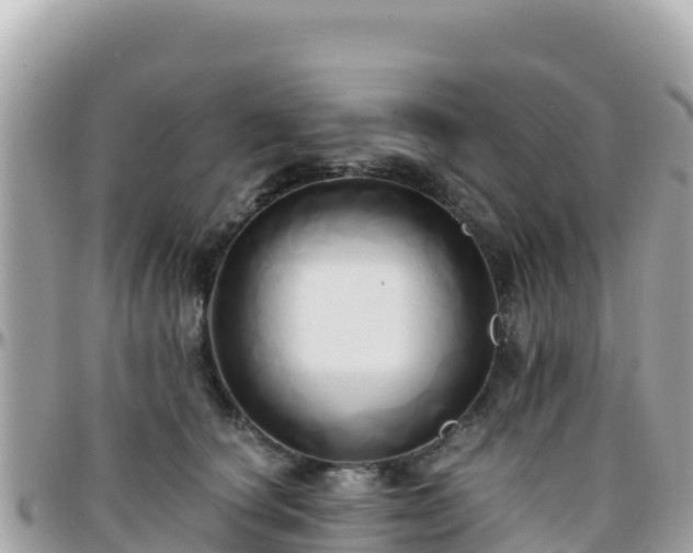 X0000096220660200801251057