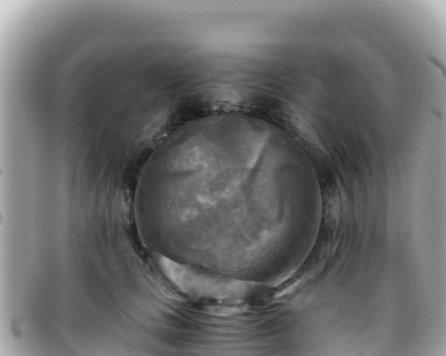 X0000096220661200801251058