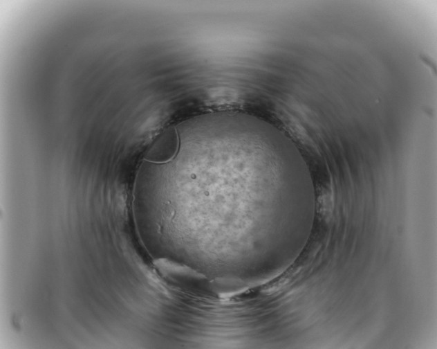 X0000096220662200801251058