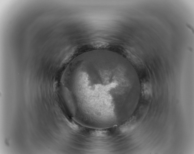 X0000096220664200801251058