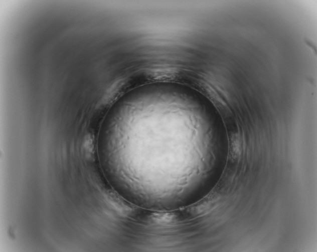 X0000096220667200801251058