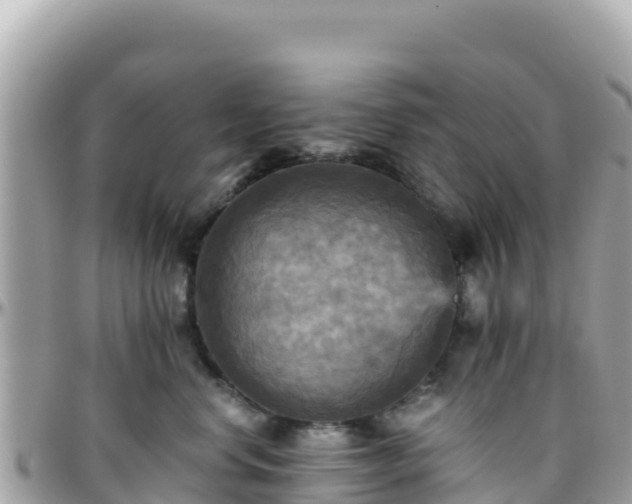 X0000096220668200801251058