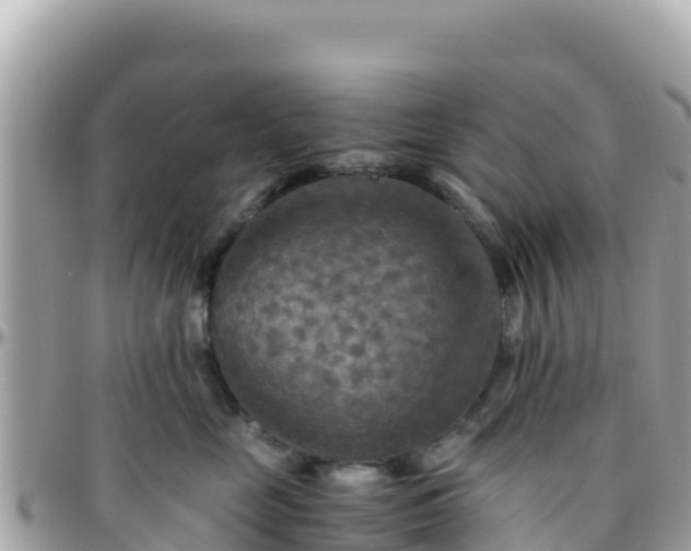 X0000096220669200801251058