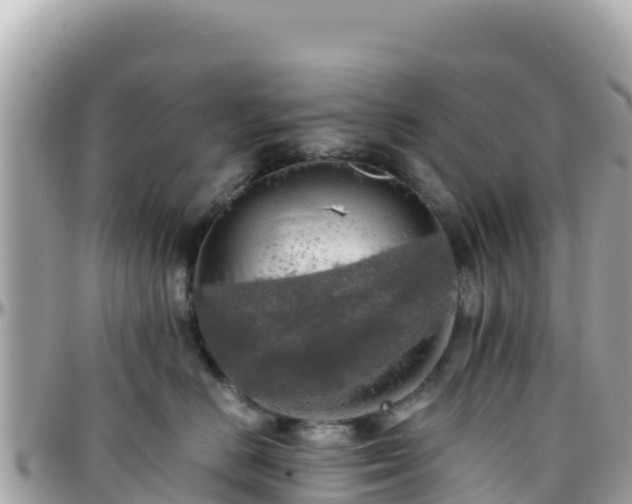 X0000096220670200801251058