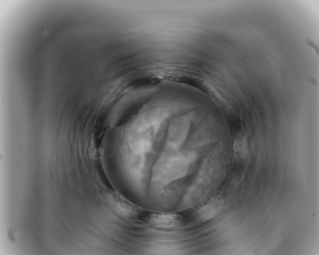 X0000096220671200801251058