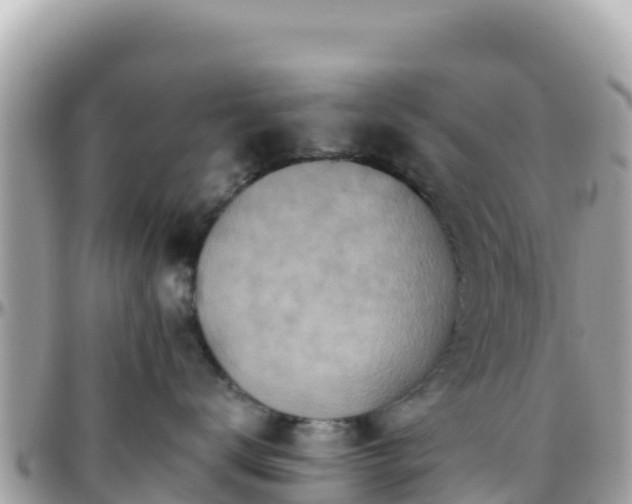 X0000096220672200801251058