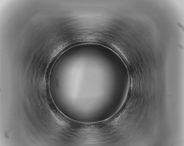 X0000096220674200801251057