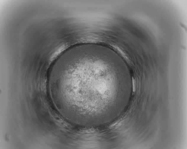 X0000096220675200801251057