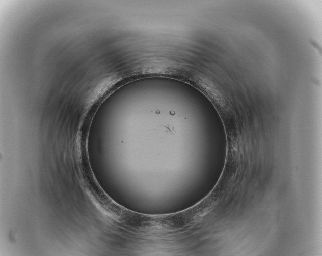 X0000096220678200801251057