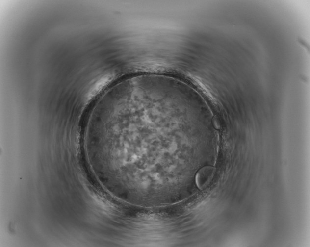 X0000096220679200801251057