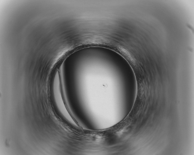 X0000096220680200801251057