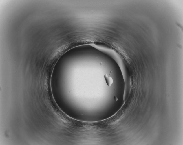 X0000096220681200801251057