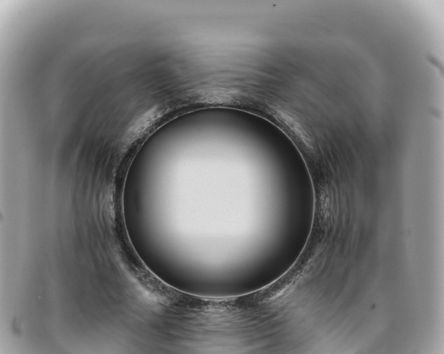 X0000096220682200801251057