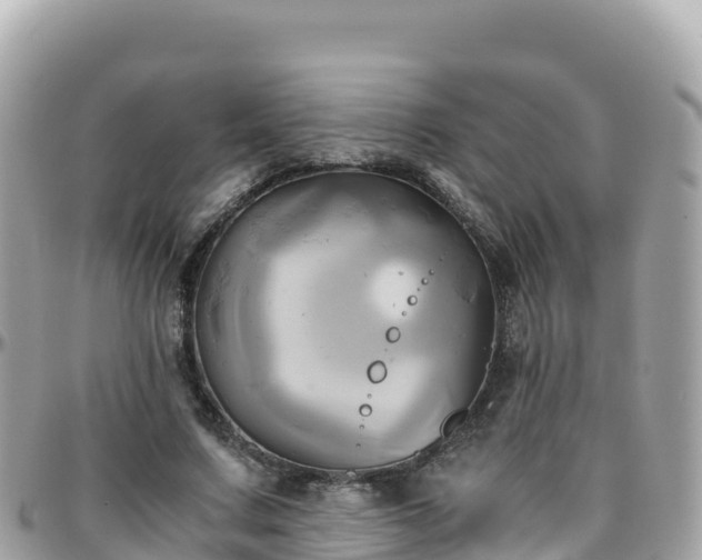 X0000096220683200801251057