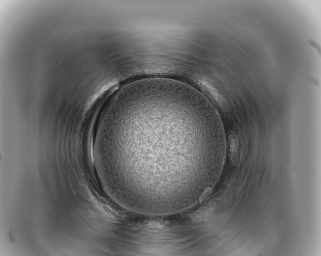 X0000096220684200801251057