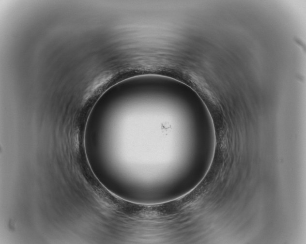 X0000096220685200801251057