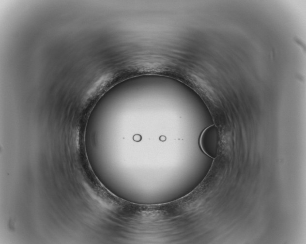 X0000096220686200801251057