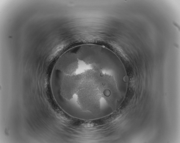 X0000096220687200801251057