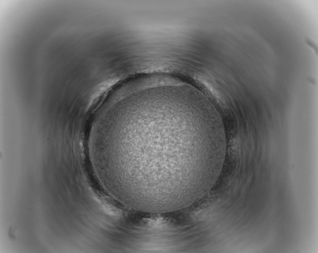 X0000096220688200801251057