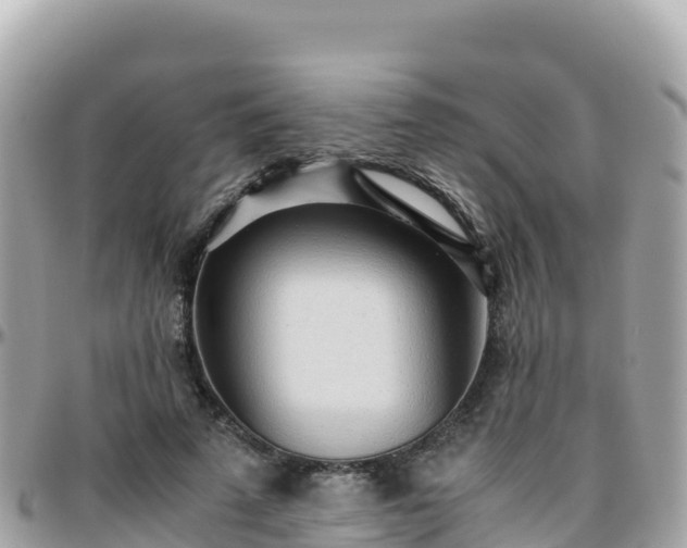 X0000096220689200801251057