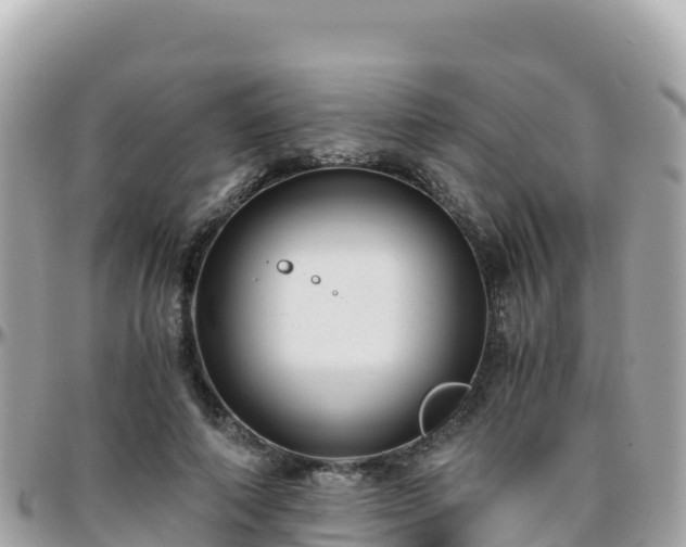 X0000096220690200801251057