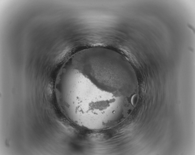 X0000096220691200801251057